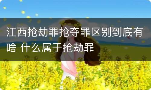 江西抢劫罪抢夺罪区别到底有啥 什么属于抢劫罪