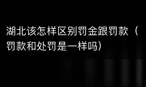 湖北该怎样区别罚金跟罚款（罚款和处罚是一样吗）