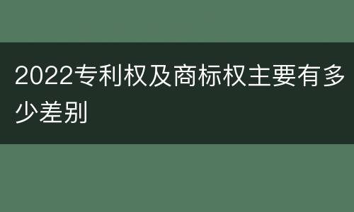 2022专利权及商标权主要有多少差别