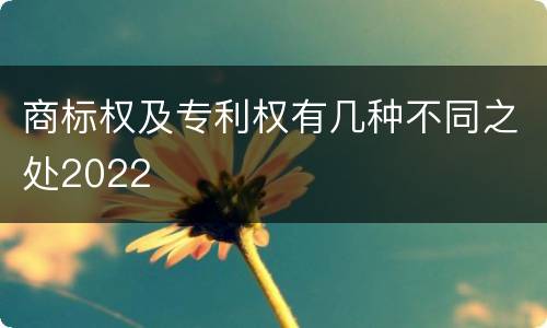 商标权及专利权有几种不同之处2022