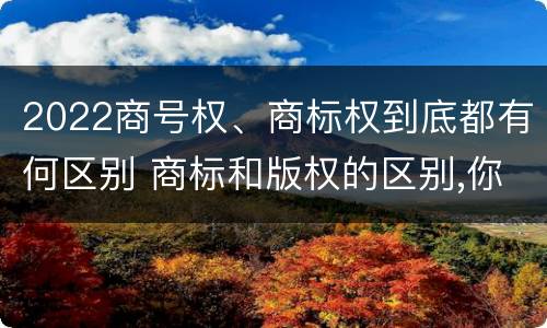 2022商号权、商标权到底都有何区别 商标和版权的区别,你知道多少?