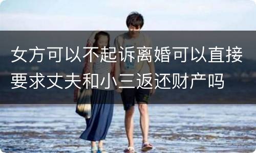 女方可以不起诉离婚可以直接要求丈夫和小三返还财产吗