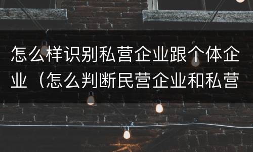怎么样识别私营企业跟个体企业（怎么判断民营企业和私营企业）