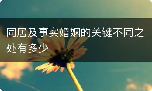 同居及事实婚姻的关键不同之处有多少