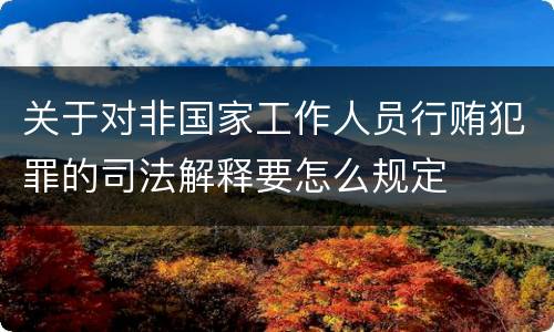 关于对非国家工作人员行贿犯罪的司法解释要怎么规定