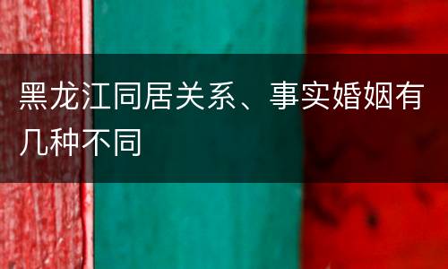 黑龙江同居关系、事实婚姻有几种不同