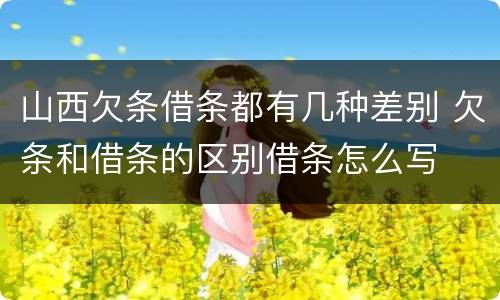 山西欠条借条都有几种差别 欠条和借条的区别借条怎么写