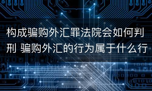 构成骗购外汇罪法院会如何判刑 骗购外汇的行为属于什么行为