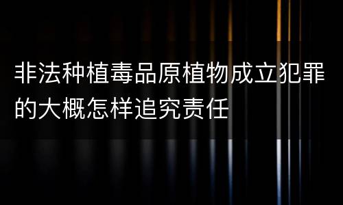 非法种植毒品原植物成立犯罪的大概怎样追究责任