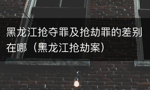 黑龙江抢夺罪及抢劫罪的差别在哪（黑龙江抢劫案）