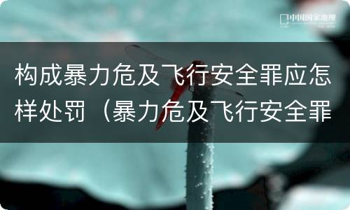 构成暴力危及飞行安全罪应怎样处罚（暴力危及飞行安全罪是危险犯吗）