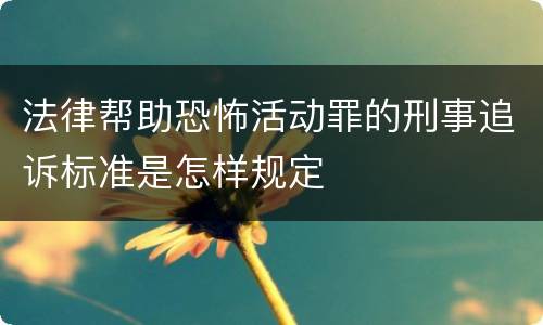 法律帮助恐怖活动罪的刑事追诉标准是怎样规定