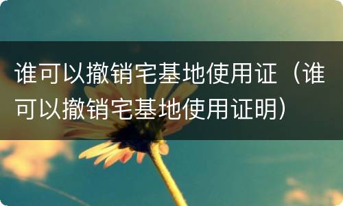 谁可以撤销宅基地使用证（谁可以撤销宅基地使用证明）