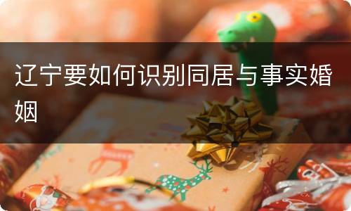 辽宁要如何识别同居与事实婚姻