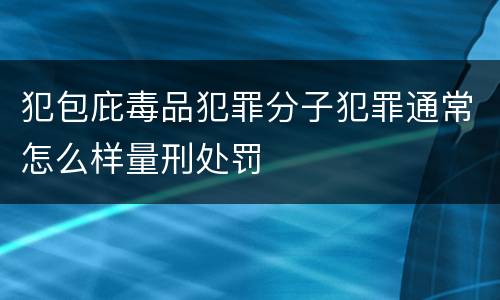 犯包庇毒品犯罪分子犯罪通常怎么样量刑处罚