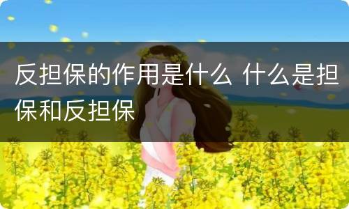 反担保的作用是什么 什么是担保和反担保