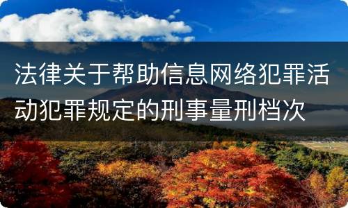 法律关于帮助信息网络犯罪活动犯罪规定的刑事量刑档次