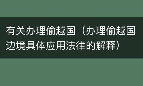 有关办理偷越国（办理偷越国边境具体应用法律的解释）