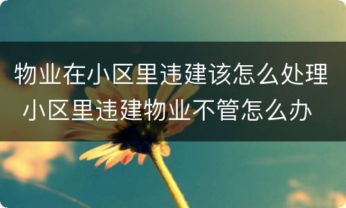 物业在小区里违建该怎么处理 小区里违建物业不管怎么办