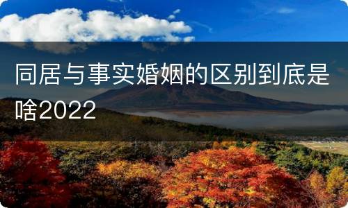 同居与事实婚姻的区别到底是啥2022