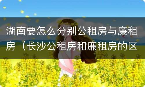 湖南要怎么分别公租房与廉租房（长沙公租房和廉租房的区别）