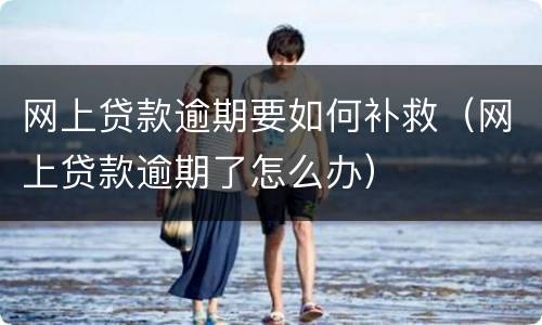 网上贷款逾期要如何补救（网上贷款逾期了怎么办）