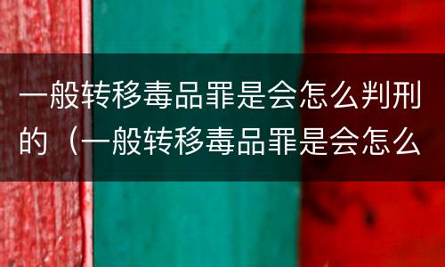 一般转移毒品罪是会怎么判刑的（一般转移毒品罪是会怎么判刑的吗）