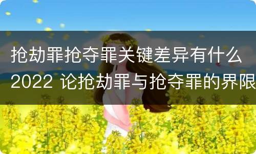抢劫罪抢夺罪关键差异有什么2022 论抢劫罪与抢夺罪的界限