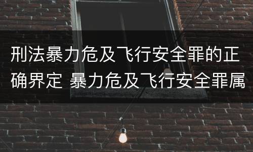 刑法暴力危及飞行安全罪的正确界定 暴力危及飞行安全罪属于