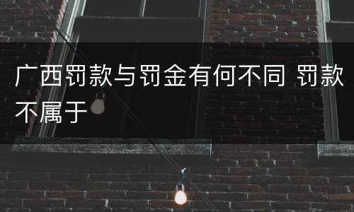 广西罚款与罚金有何不同 罚款不属于