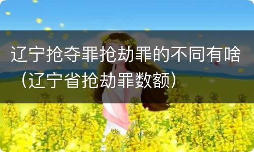 辽宁抢夺罪抢劫罪的不同有啥（辽宁省抢劫罪数额）
