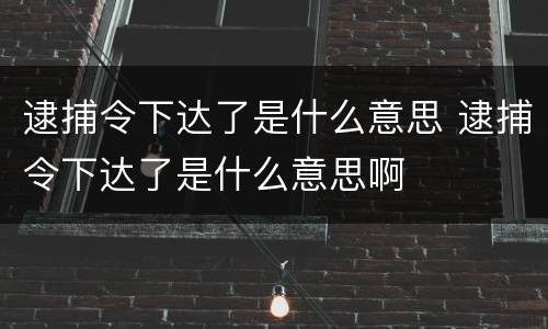 逮捕令下达了是什么意思 逮捕令下达了是什么意思啊