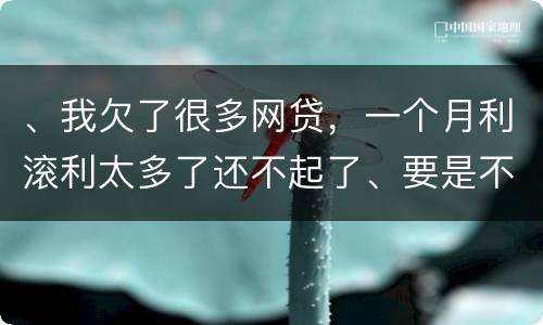 、我欠了很多网贷，一个月利滚利太多了还不起了、要是不还会有什么后果