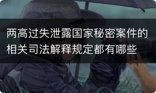 两高过失泄露国家秘密案件的相关司法解释规定都有哪些