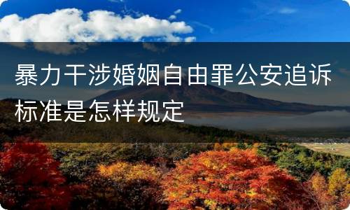 暴力干涉婚姻自由罪公安追诉标准是怎样规定