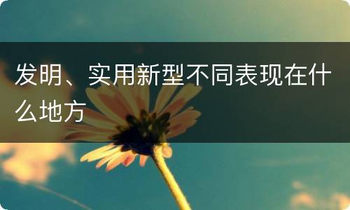 发明、实用新型不同表现在什么地方