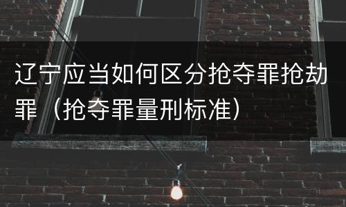 辽宁应当如何区分抢夺罪抢劫罪（抢夺罪量刑标准）