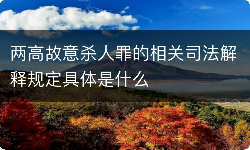 两高故意杀人罪的相关司法解释规定具体是什么