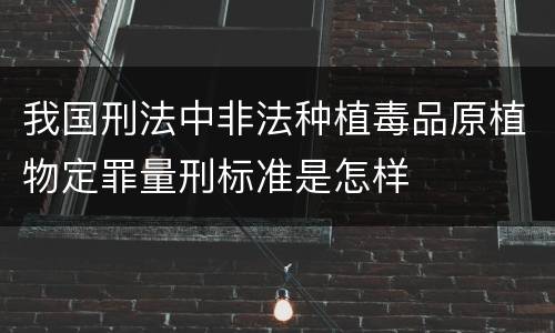 我国刑法中非法种植毒品原植物定罪量刑标准是怎样