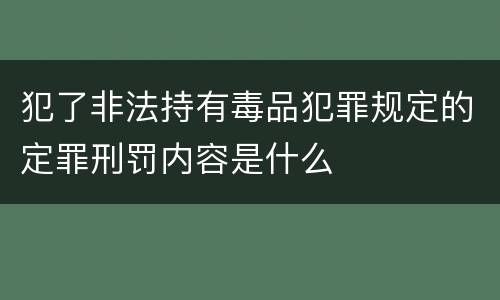 犯了非法持有毒品犯罪规定的定罪刑罚内容是什么