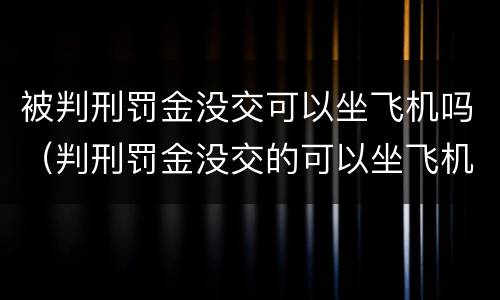 被判刑罚金没交可以坐飞机吗（判刑罚金没交的可以坐飞机吗）