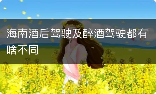 海南酒后驾驶及醉酒驾驶都有啥不同