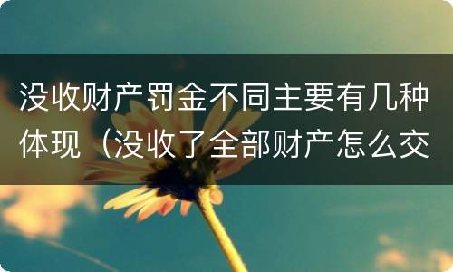 没收财产罚金不同主要有几种体现（没收了全部财产怎么交罚款）