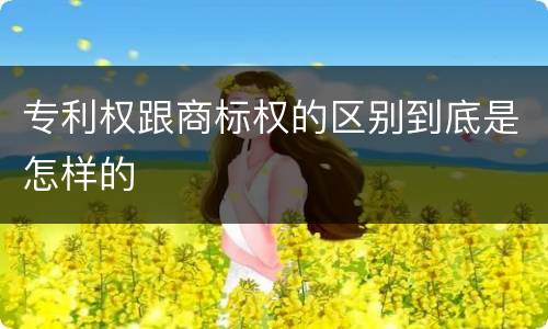 专利权跟商标权的区别到底是怎样的