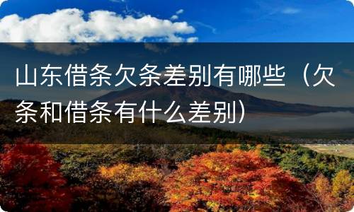 山东借条欠条差别有哪些（欠条和借条有什么差别）