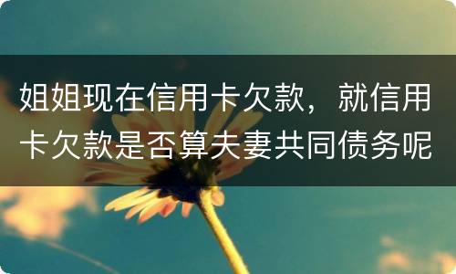 姐姐现在信用卡欠款，就信用卡欠款是否算夫妻共同债务呢