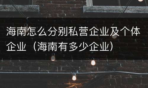 海南怎么分别私营企业及个体企业（海南有多少企业）