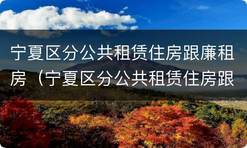 宁夏区分公共租赁住房跟廉租房（宁夏区分公共租赁住房跟廉租房的区别）