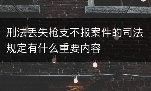 刑法丢失枪支不报案件的司法规定有什么重要内容