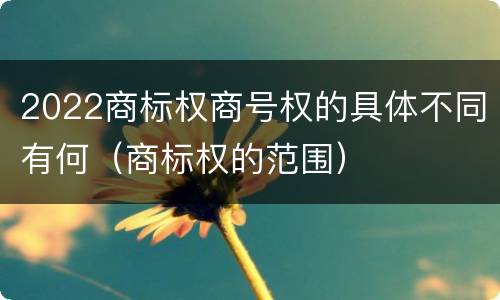 2022商标权商号权的具体不同有何（商标权的范围）